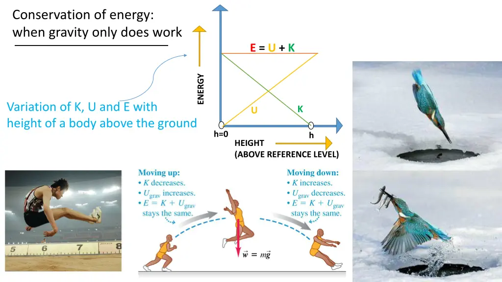 conservation of energy when gravity only does work