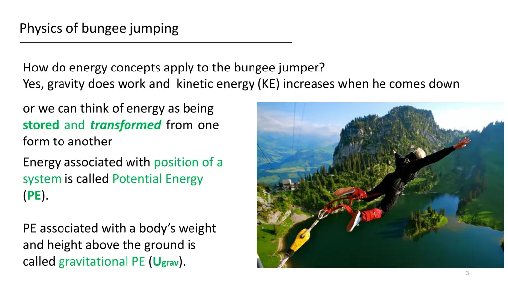 physics of bungee jumping