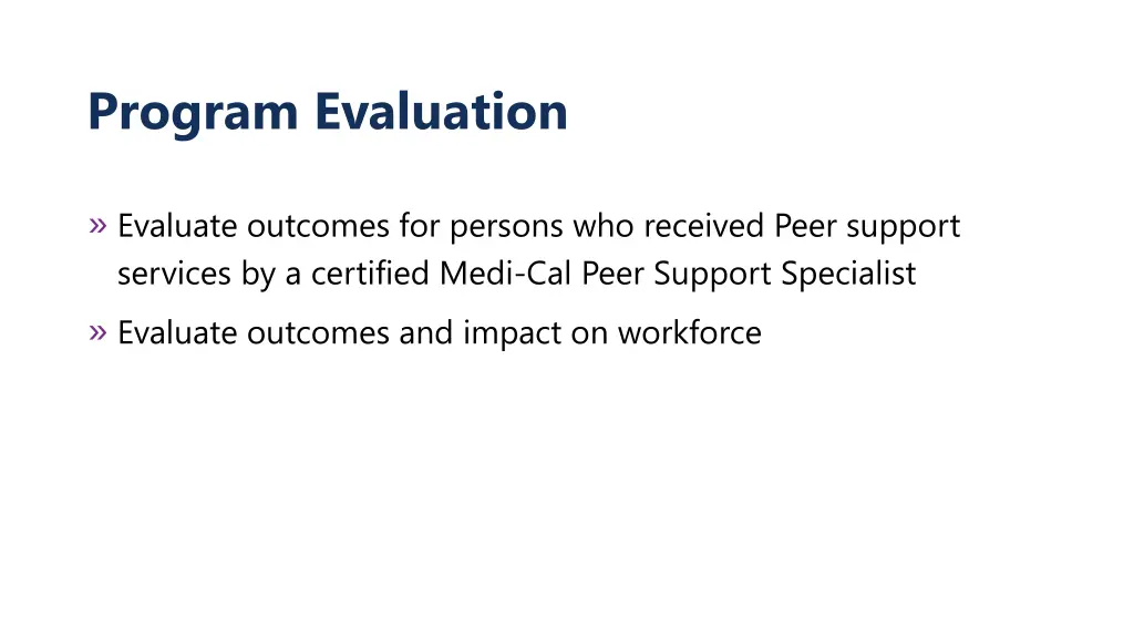 program evaluation