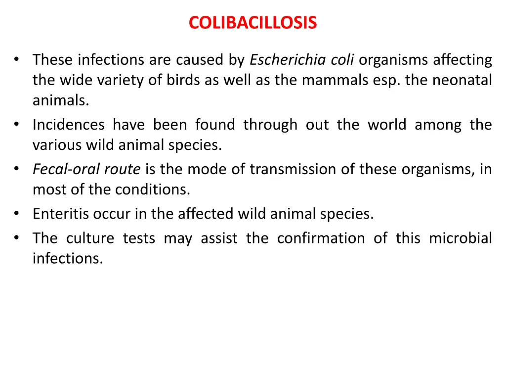 colibacillosis