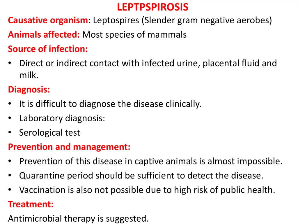 leptpspirosis