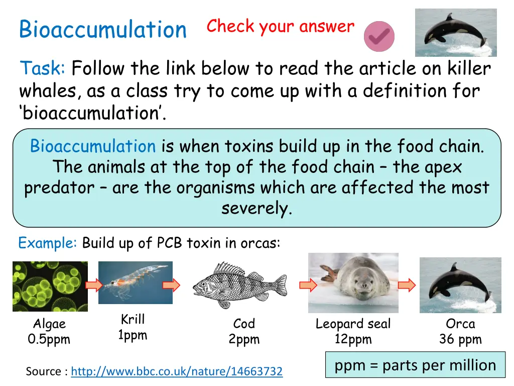 bioaccumulation