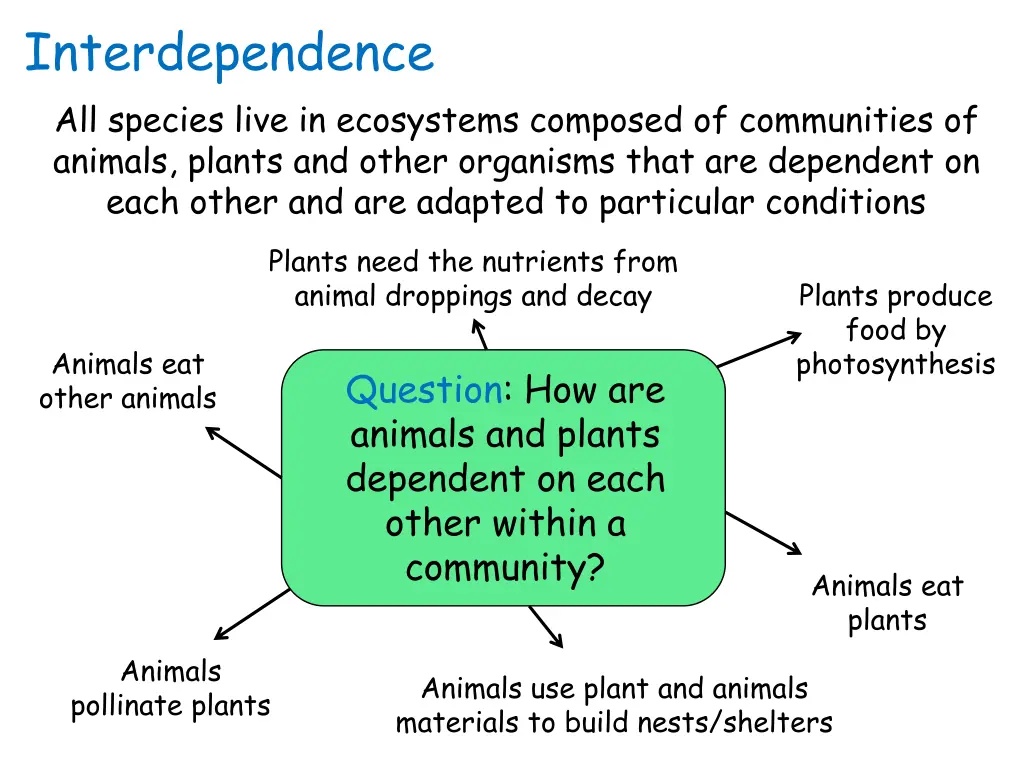 interdependence all species live in ecosystems