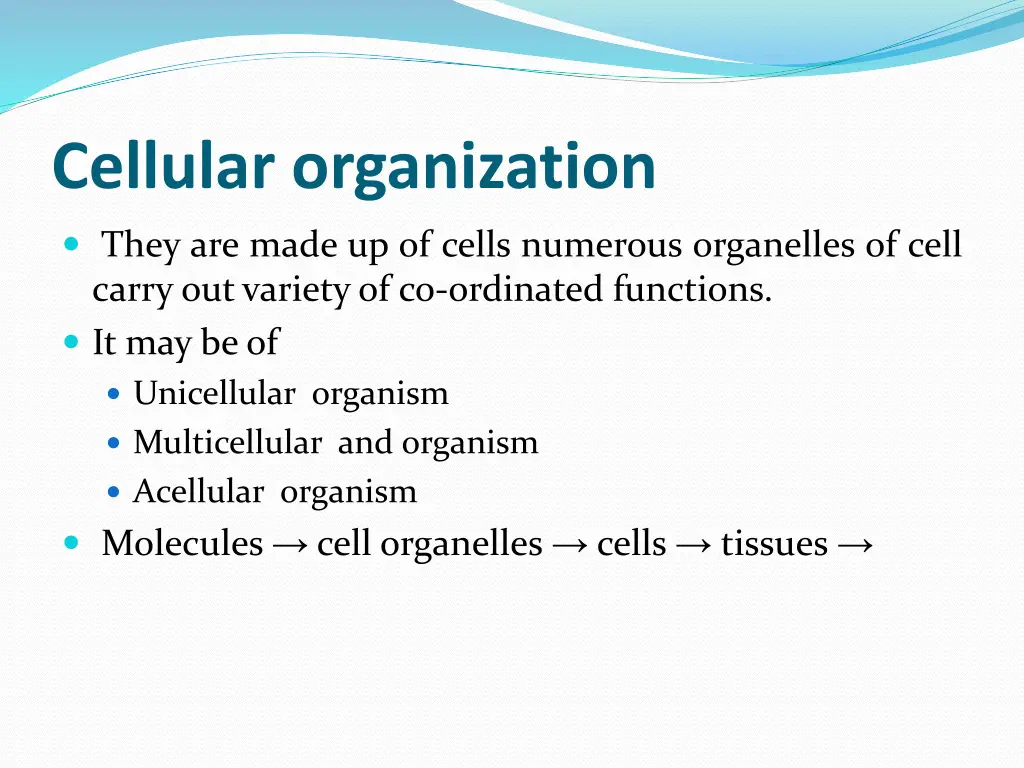 cellular organization