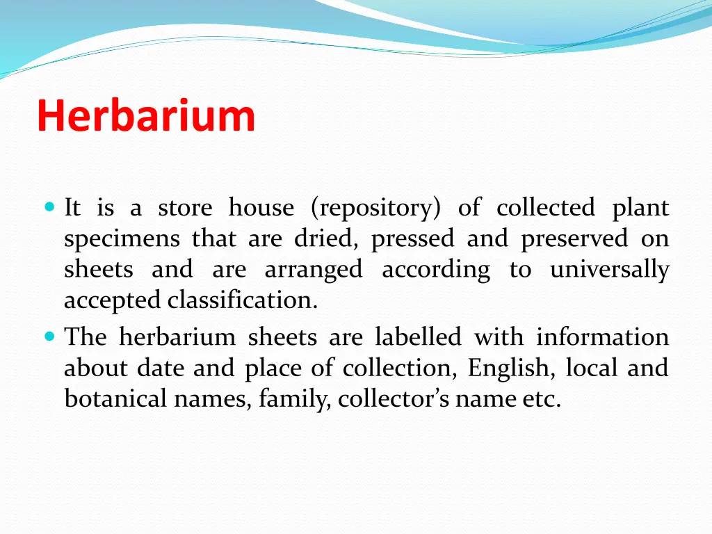 herbarium