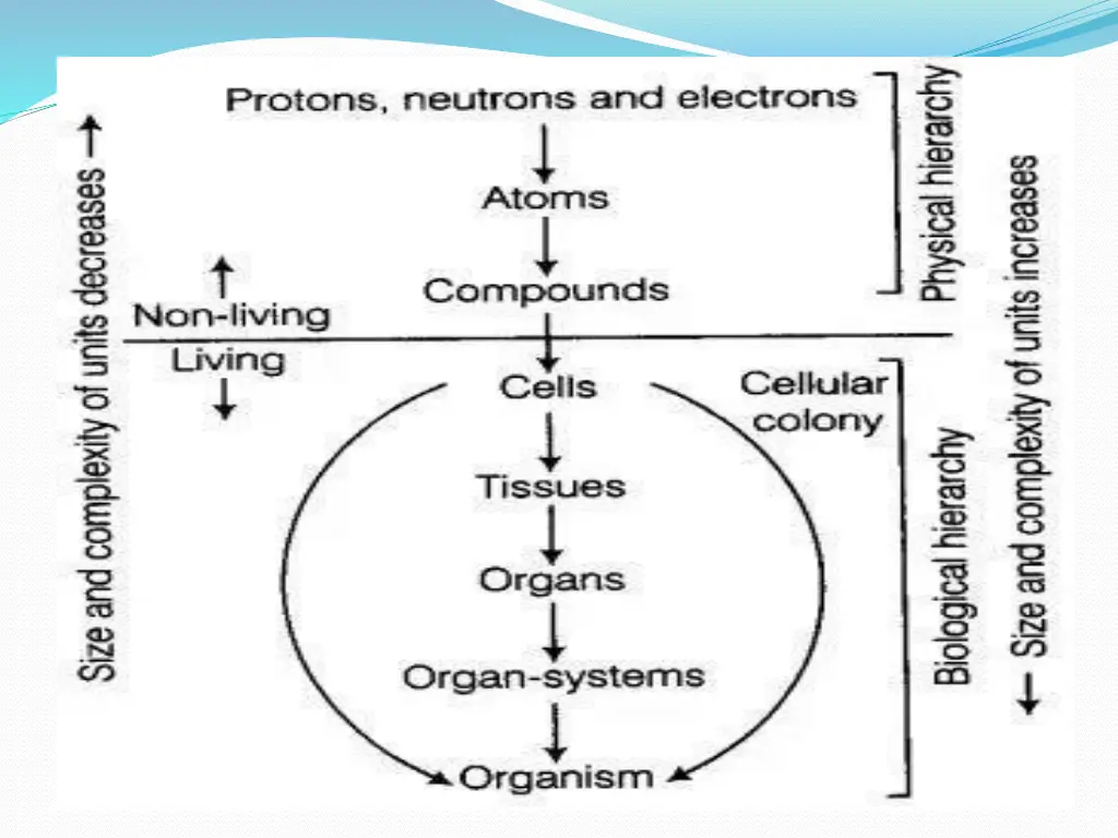 slide9