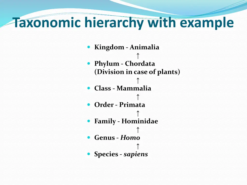 taxonomic hierarchy with example