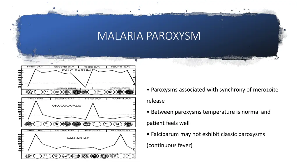 malaria paroxysm