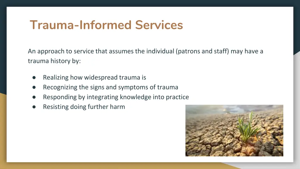 trauma informed services