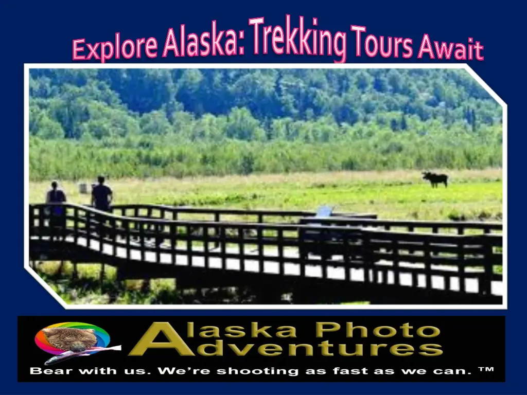 explore alaska trekking tours await 1