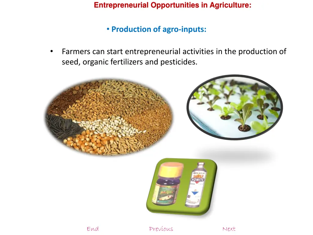 entrepreneurial opportunities in agriculture 4