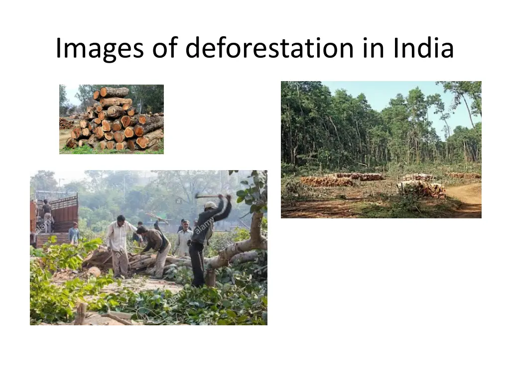 images of deforestation in india