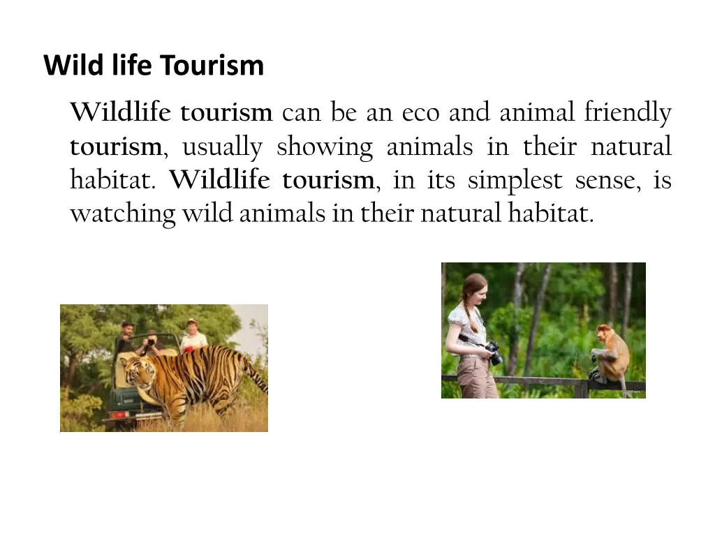 wild life tourism wildlife tourism