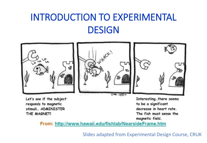 introduction to experimental introduction