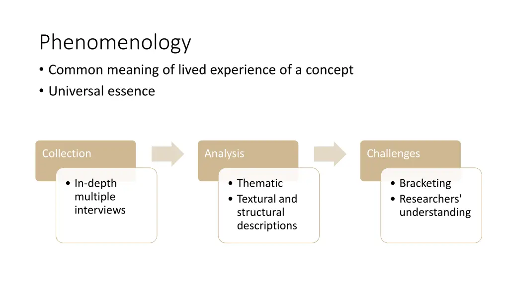 phenomenology common meaning of lived experience