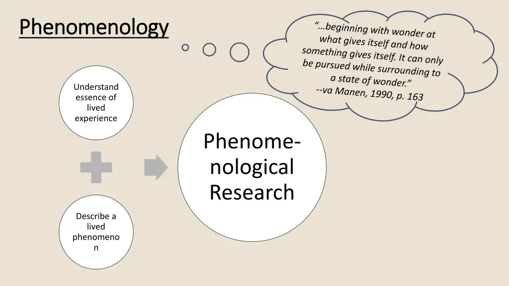 phenomenology phenomenology