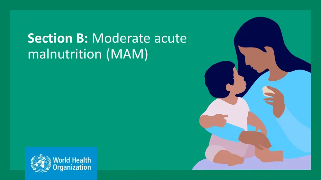 section b moderate acute malnutrition mam