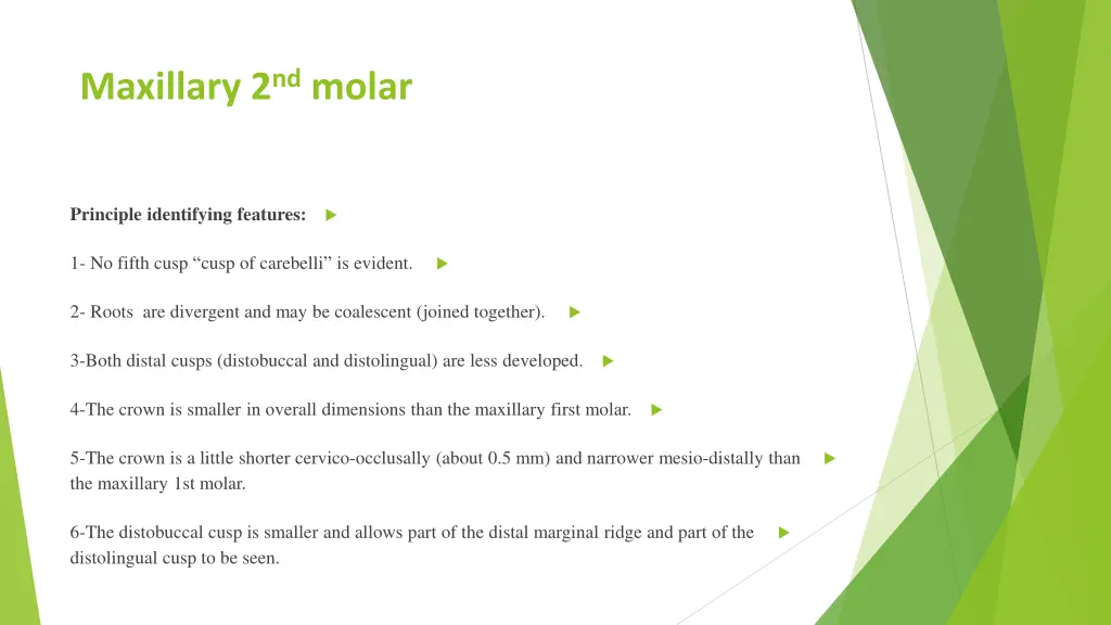 maxillary 2 nd molar