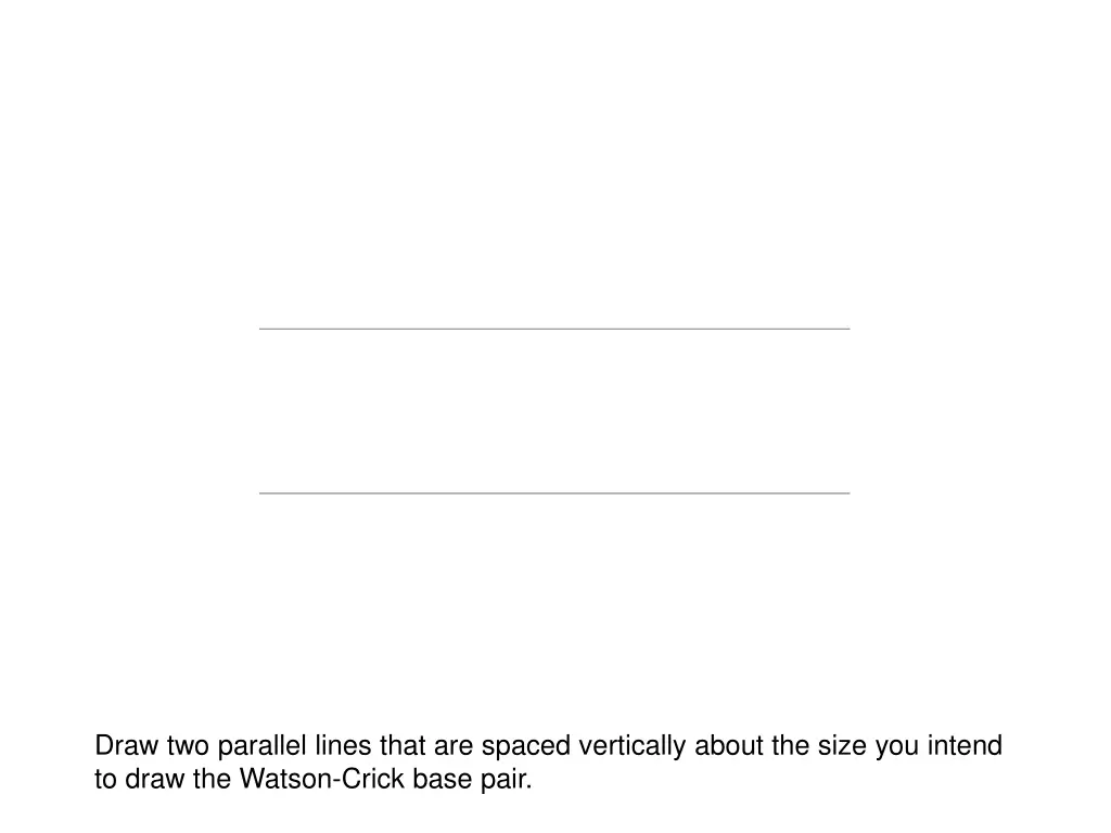 draw two parallel lines that are spaced