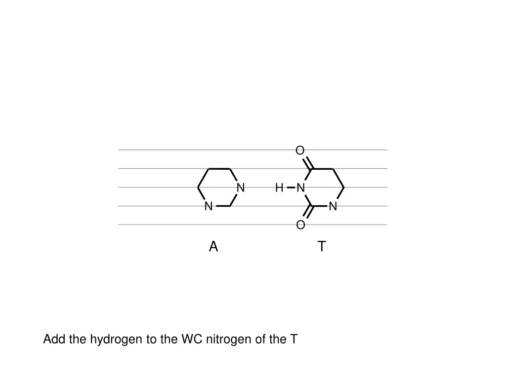 slide16