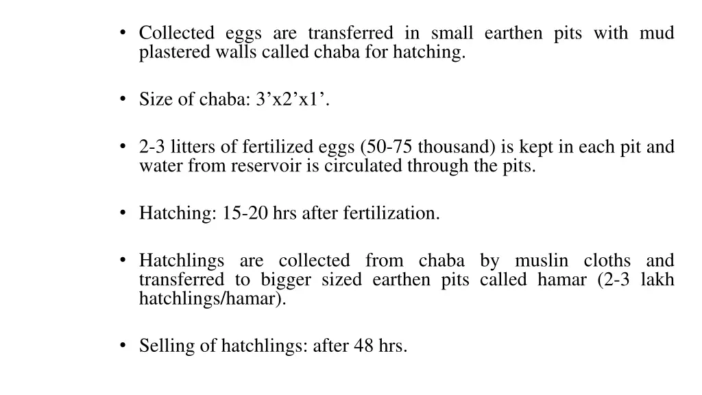 collected eggs are transferred in small earthen