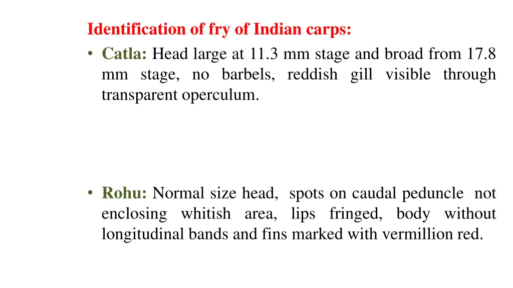 identification of fry of indian carps catla head