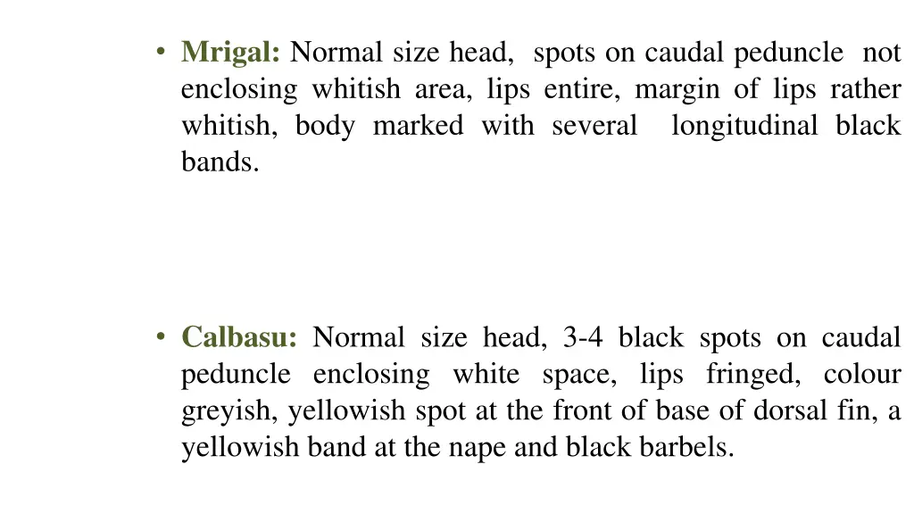 mrigal normal size head spots on caudal peduncle