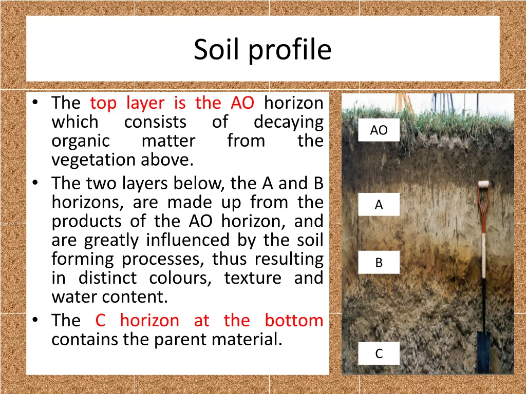 soil profile 1