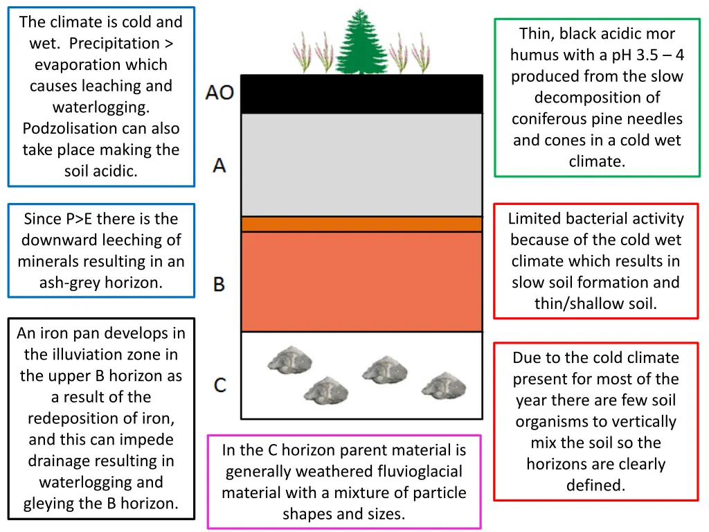 the climate is cold and wet precipitation