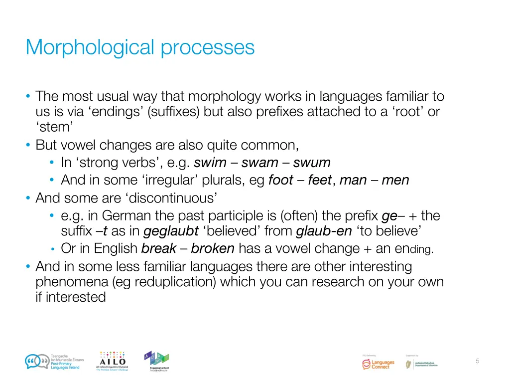 morphological processes