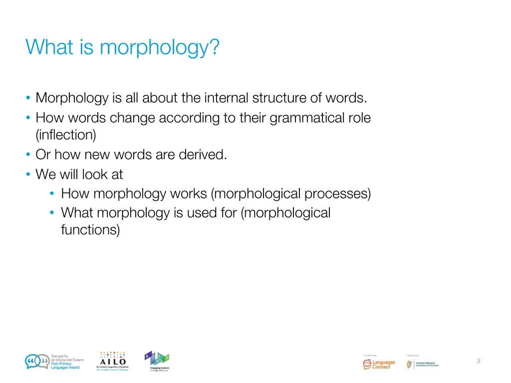 what is morphology