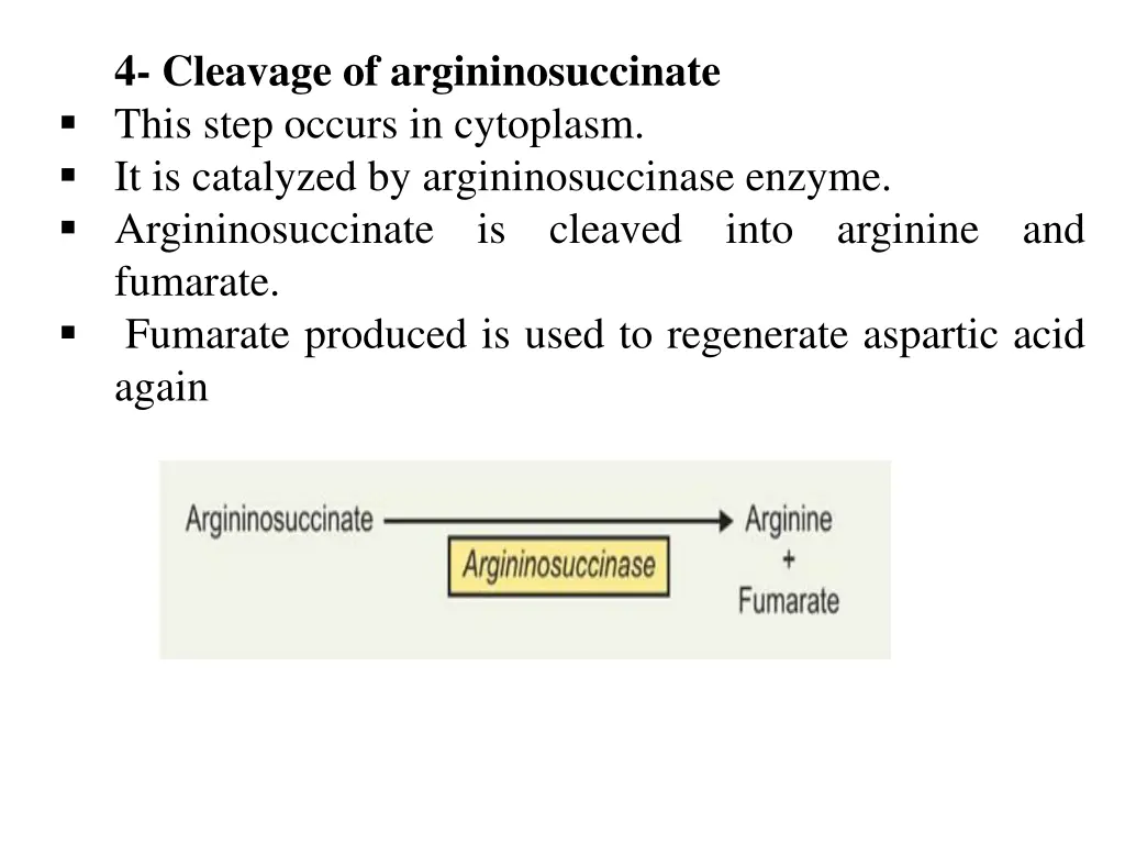 4 cleavage of argininosuccinate this step occurs