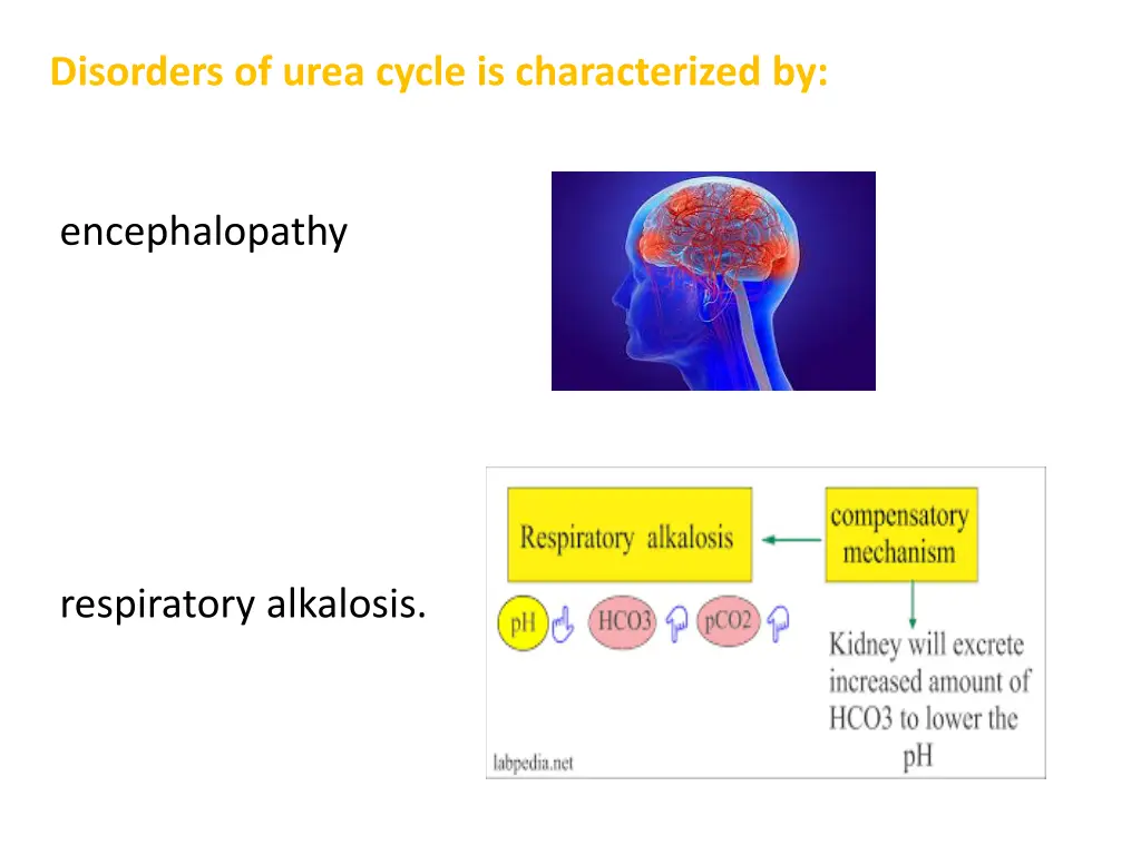 disorders of urea cycle is characterized by