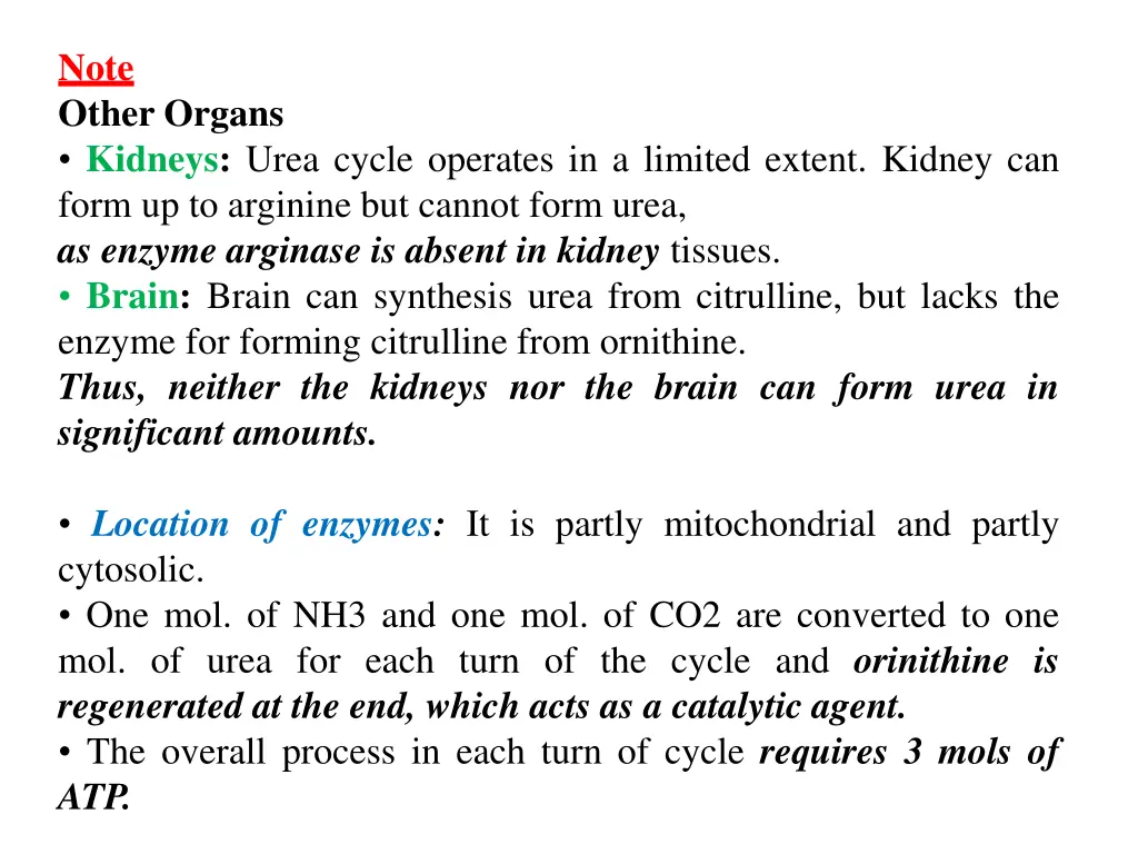 note other organs kidneys urea cycle operates