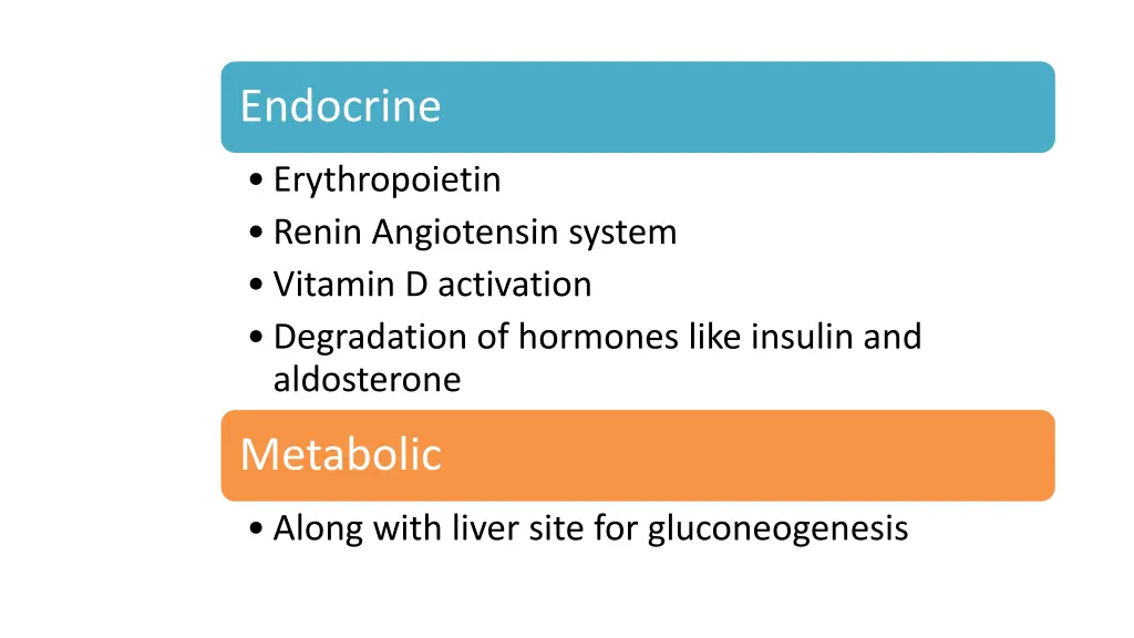 endocrine