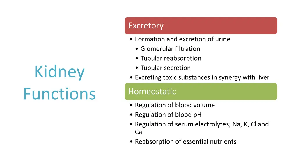 excretory