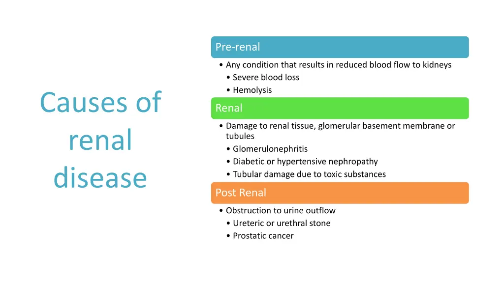 pre renal