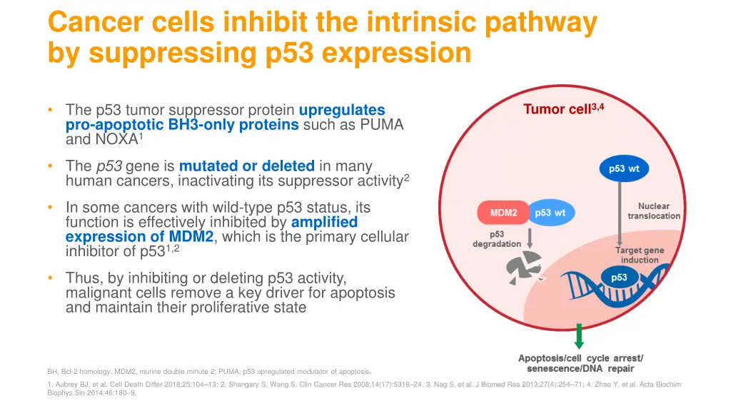 cancer cells inhibit the intrinsic pathway 1