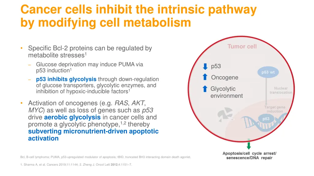 cancer cells inhibit the intrinsic pathway 2