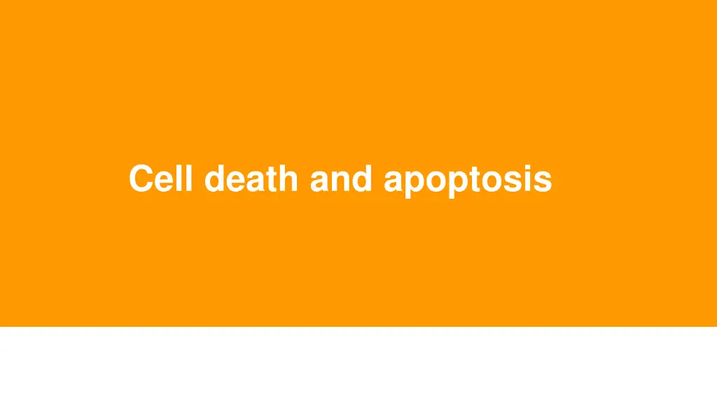 cell death and apoptosis