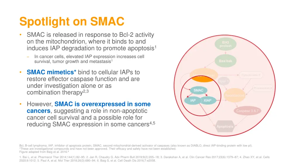 spotlight on smac smac is released in response