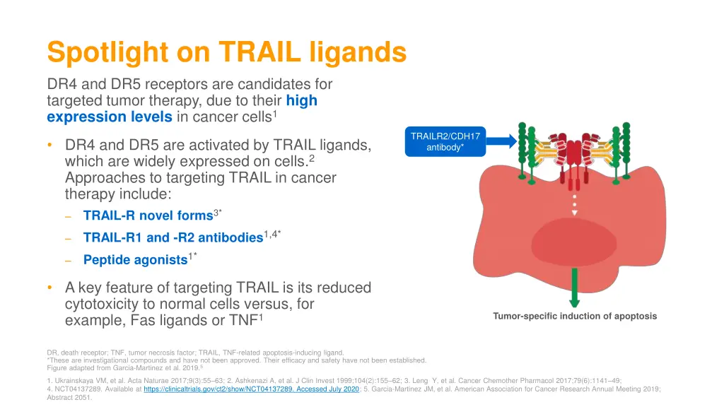 spotlight on trail ligands dr4 and dr5 receptors