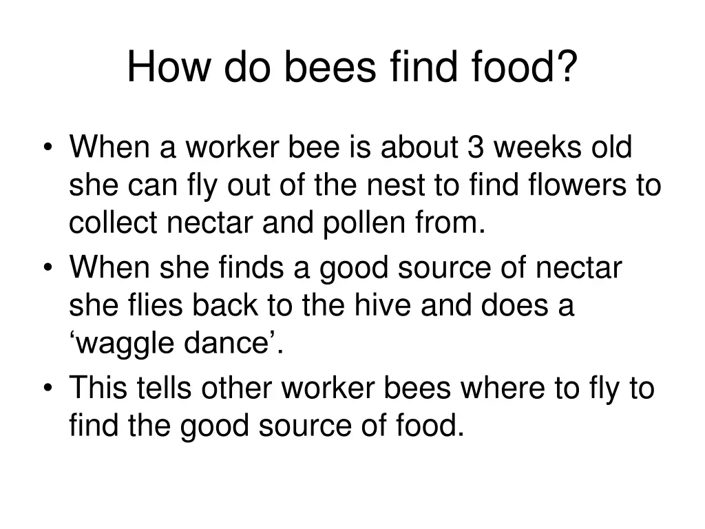 how do bees find food