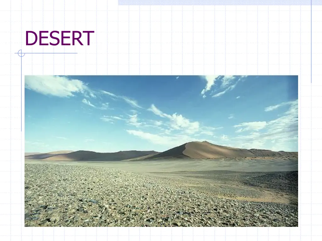 desert