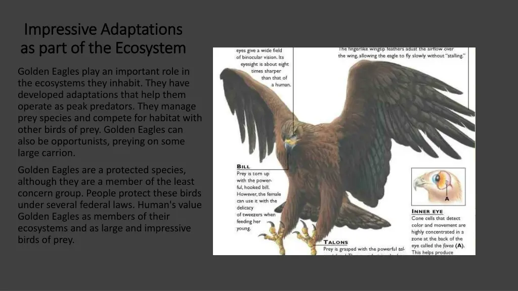 impressive adaptations impressive adaptations