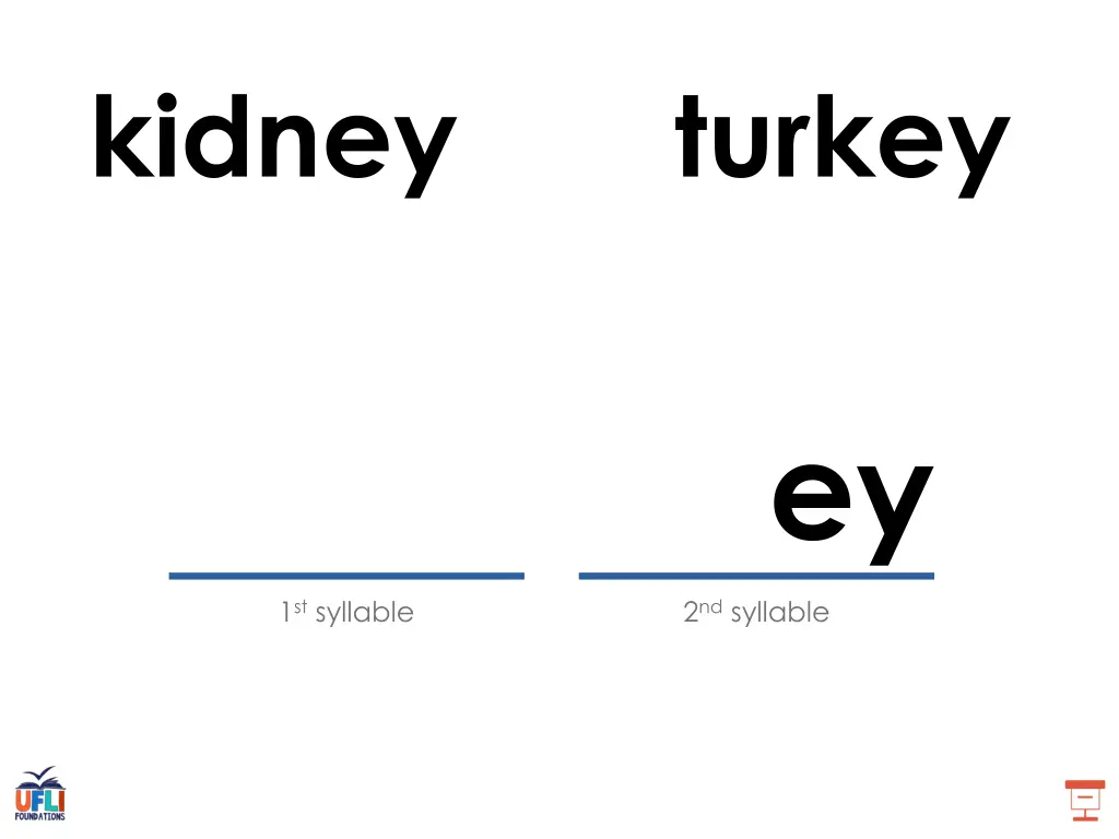 kidney