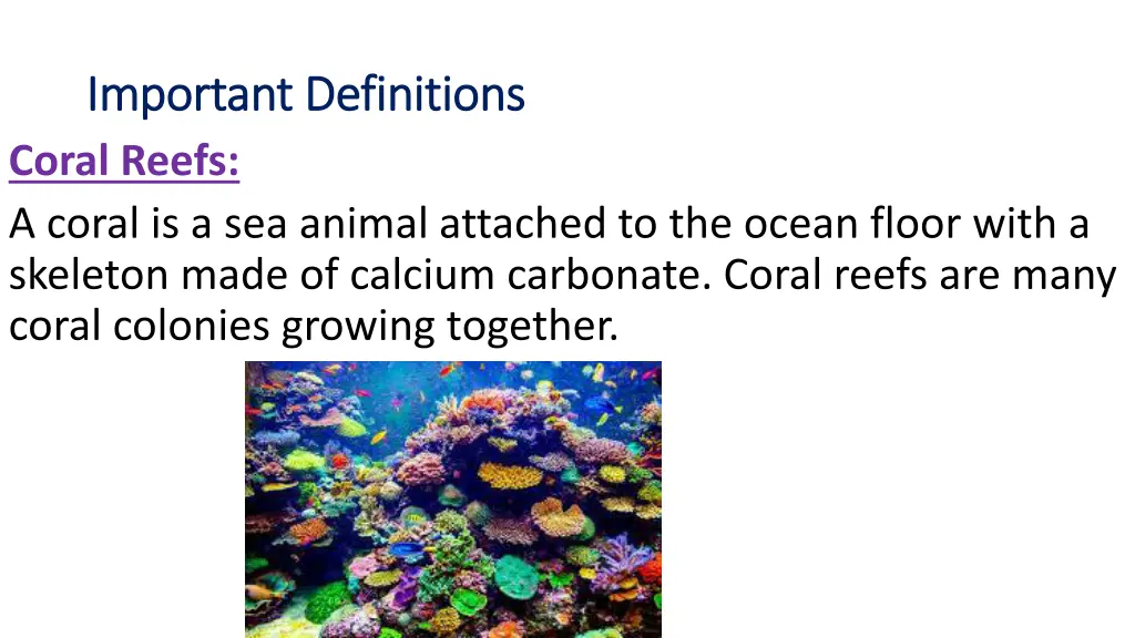 important definitions important definitions coral