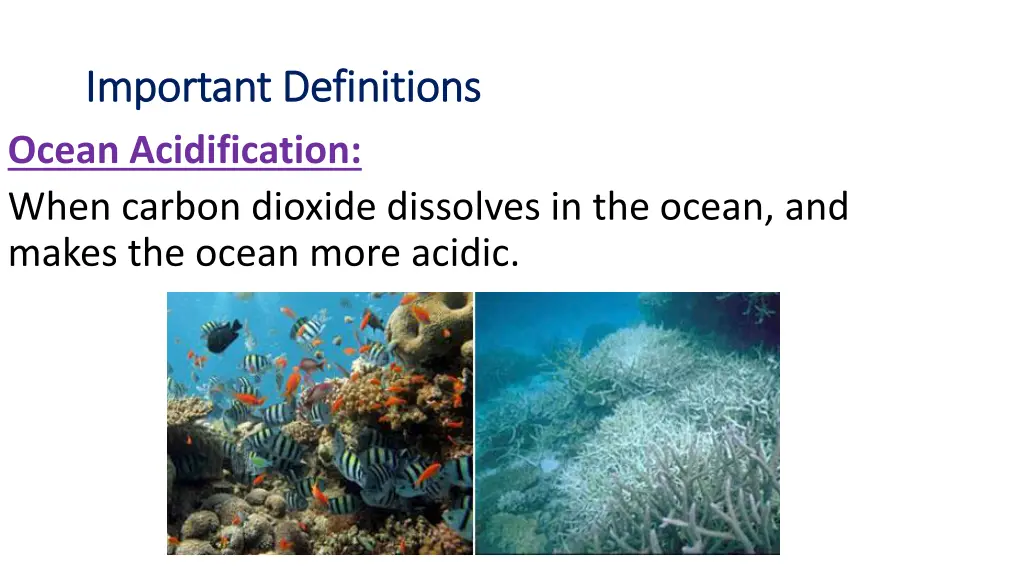 important definitions important definitions ocean