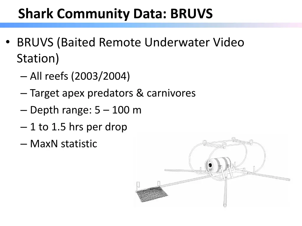 shark community data bruvs