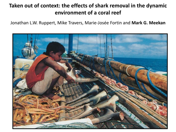 taken out of context the effects of shark removal